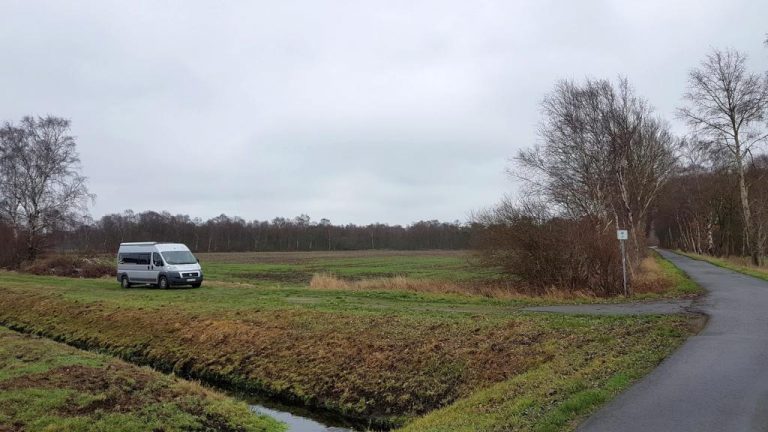 Mission böllerfreie Silvester 2018 Hat es geklappt? › UMIWO