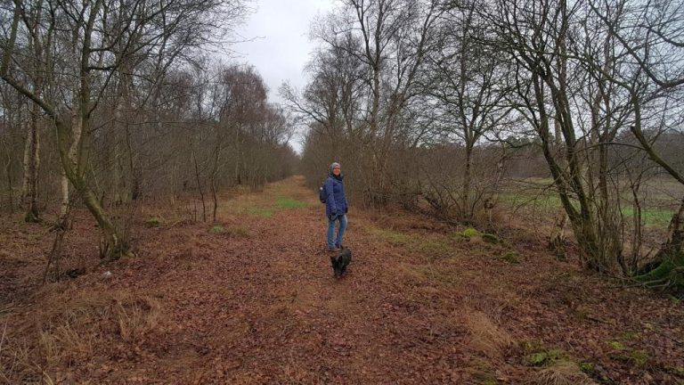 Mission böllerfreie Silvester 2018 Hat es geklappt? › UMIWO