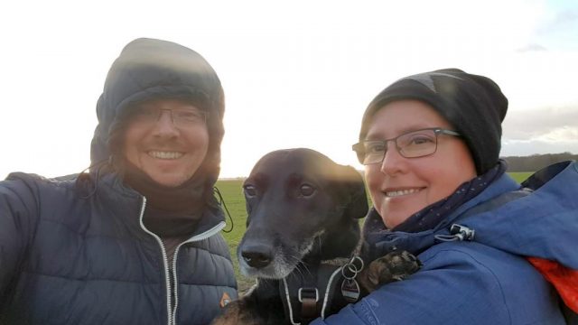 Mission böllerfreie Silvester 2018 Hat es geklappt? › UMIWO