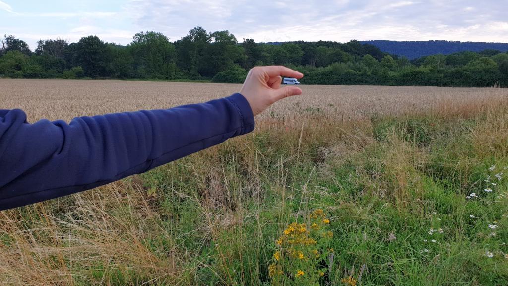 springe freistehen van feld