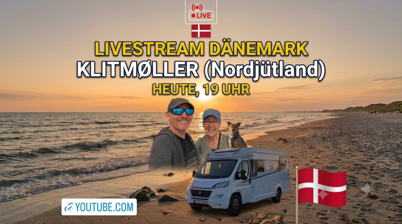 Ein Jahr ＂Friedel＂ – Unsere Erfahrungen, Reisepläne & Sommer in Dänemark! 🚐💨